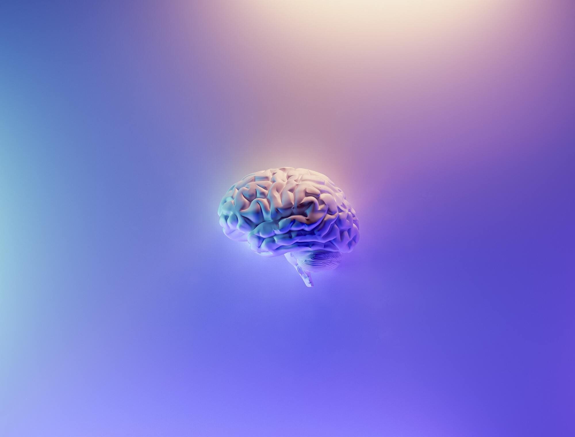 Abstrahiertes Bild von einem Gehirn, auf einem farbigen Hintergrund